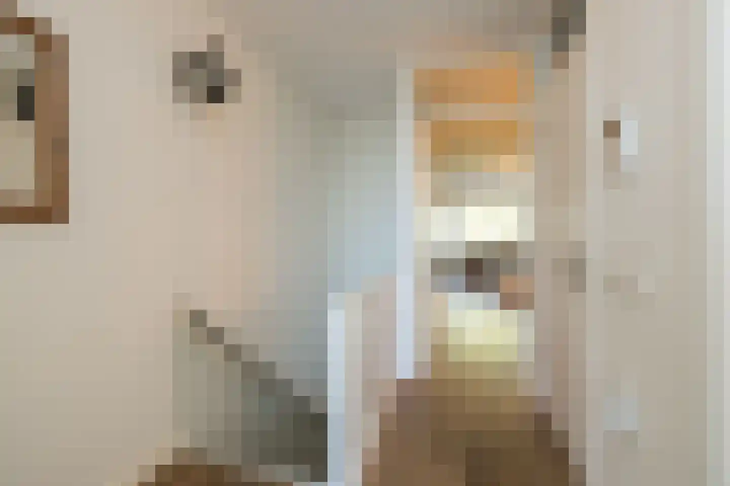 Lange Voort 121 Oegstgeest thumbnail 8