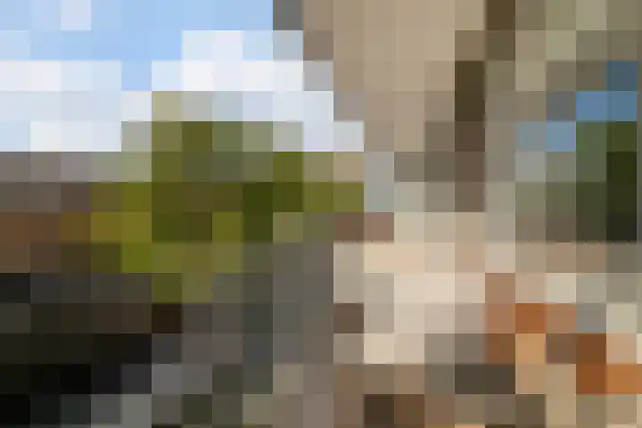Lange Voort 125 Oegstgeest thumbnail 10