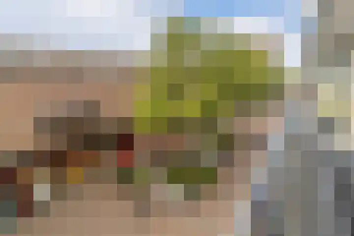 Lange Voort 125 Oegstgeest thumbnail 12