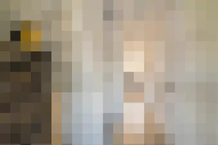 Lange Voort 125 Oegstgeest thumbnail 19