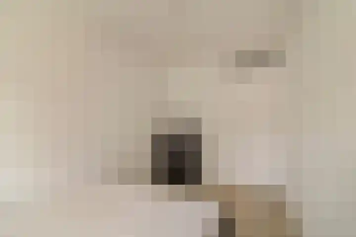 Lange Voort 125 Oegstgeest thumbnail 24