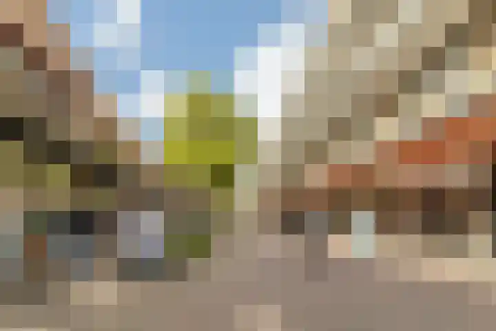 Lange Voort 125 Oegstgeest thumbnail 37