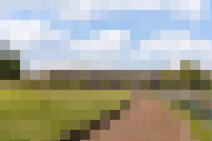 Lange Voort 125 Oegstgeest thumbnail 40