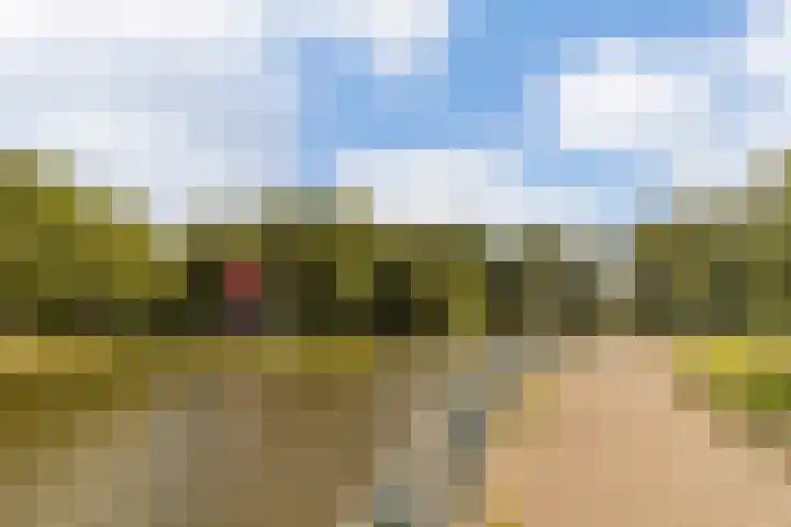 Lange Voort 125 Oegstgeest thumbnail 41