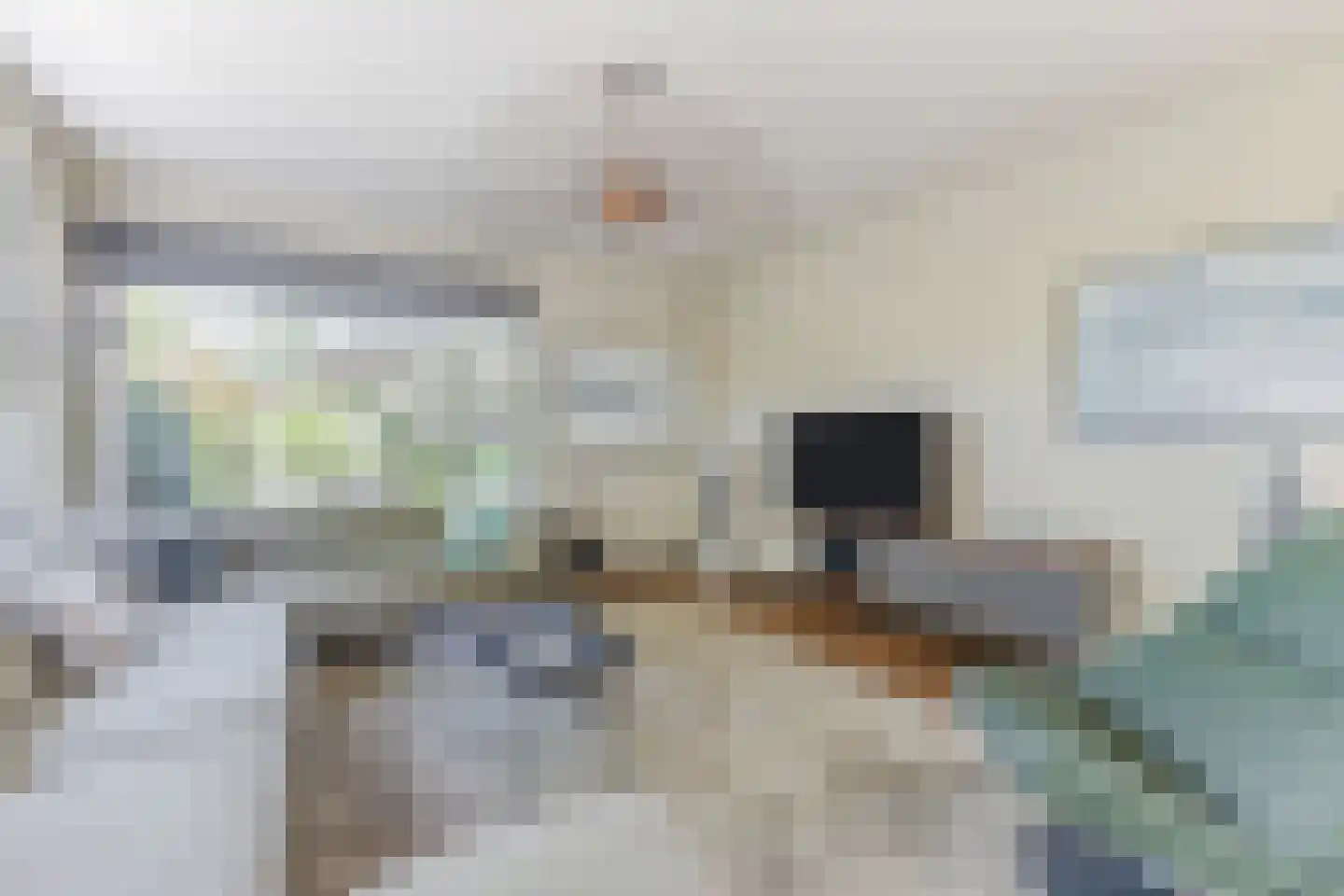 Lange Voort 269 Oegstgeest thumbnail 12