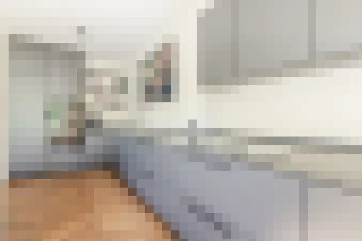 Lange Voort 269 Oegstgeest thumbnail 20