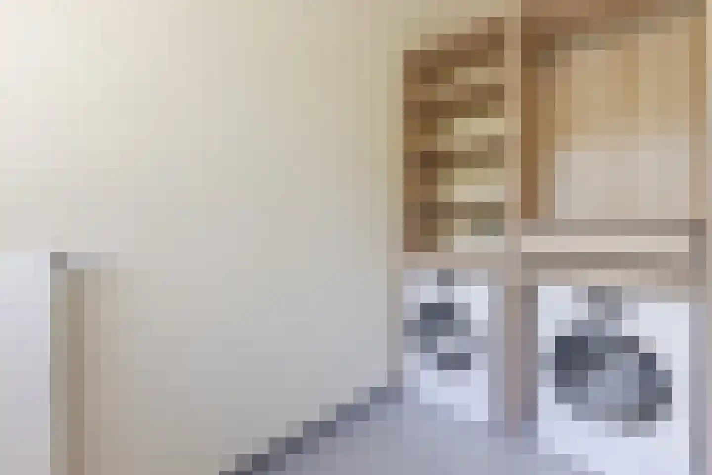 Lange Voort 269 Oegstgeest thumbnail 30