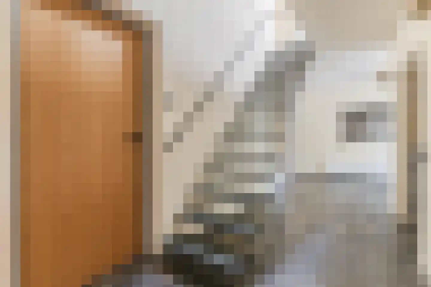 Lange Voort 269 Oegstgeest thumbnail 32
