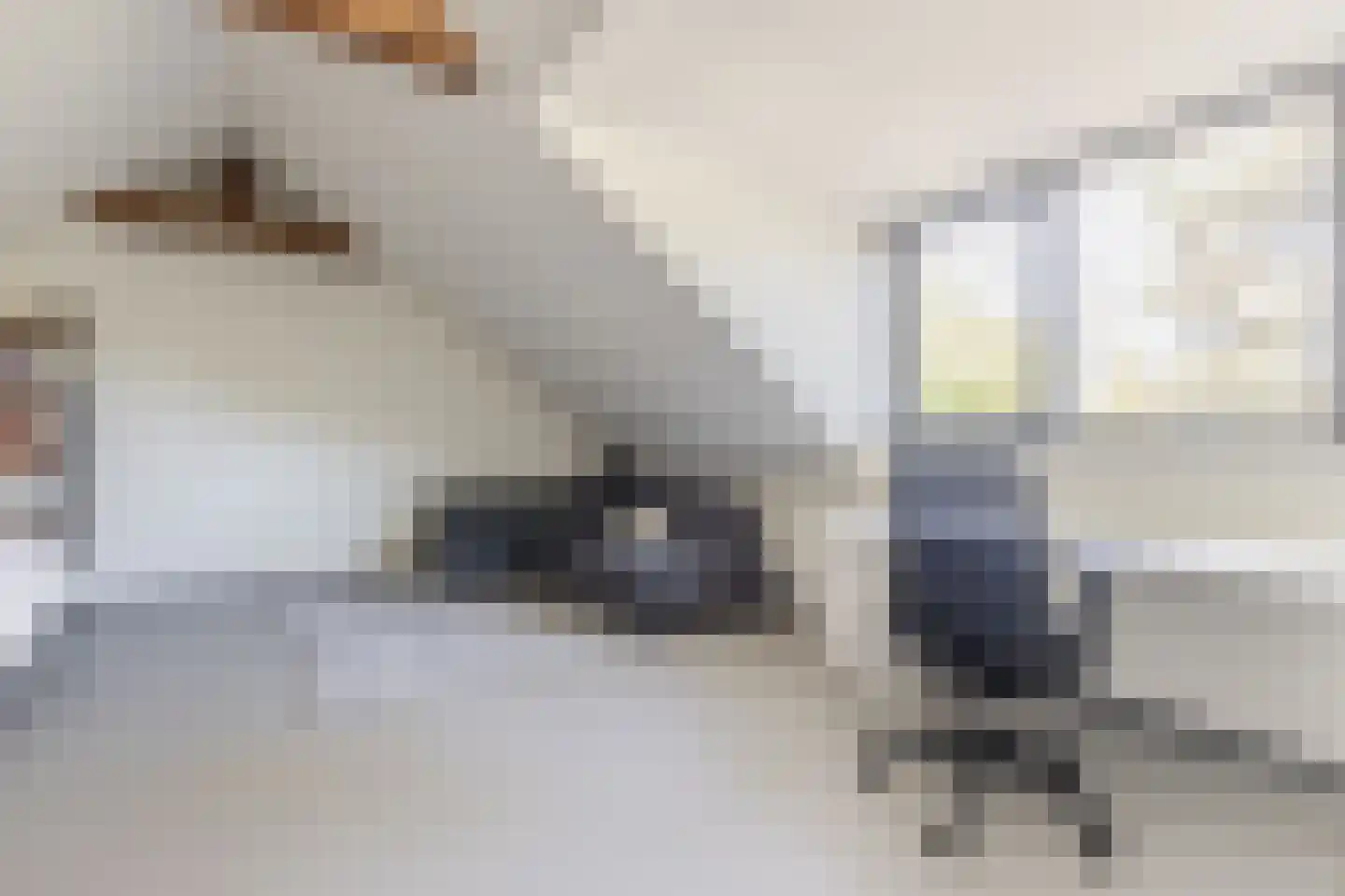 Lange Voort 269 Oegstgeest thumbnail 38