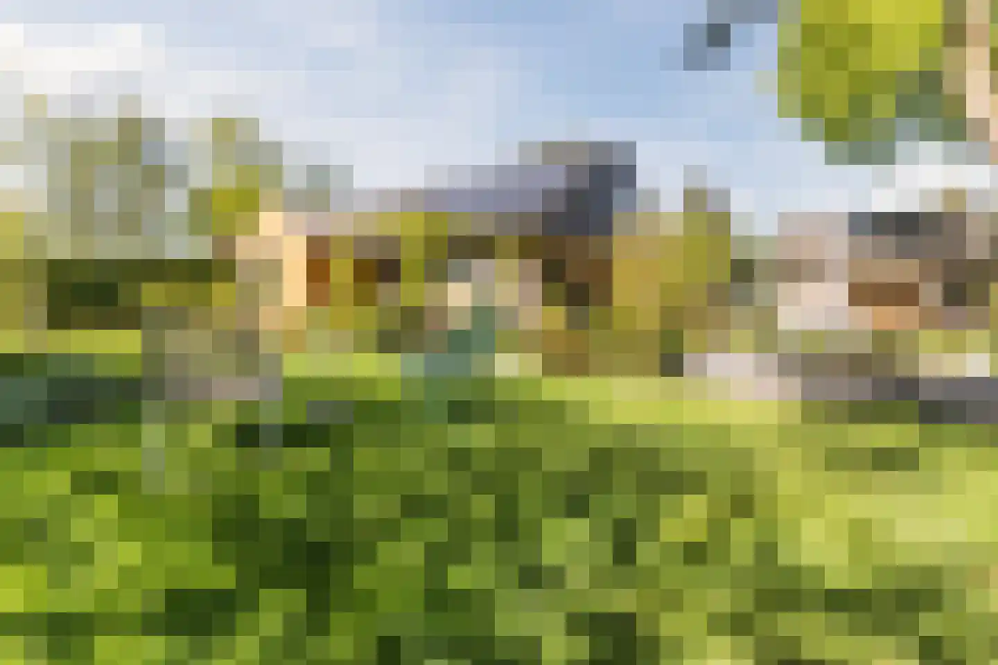 Lange Voort 269 Oegstgeest thumbnail 4
