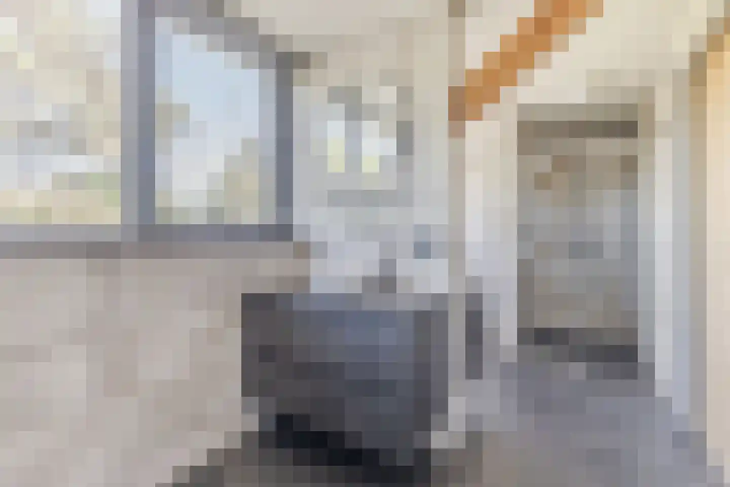 Lange Voort 269 Oegstgeest thumbnail 43