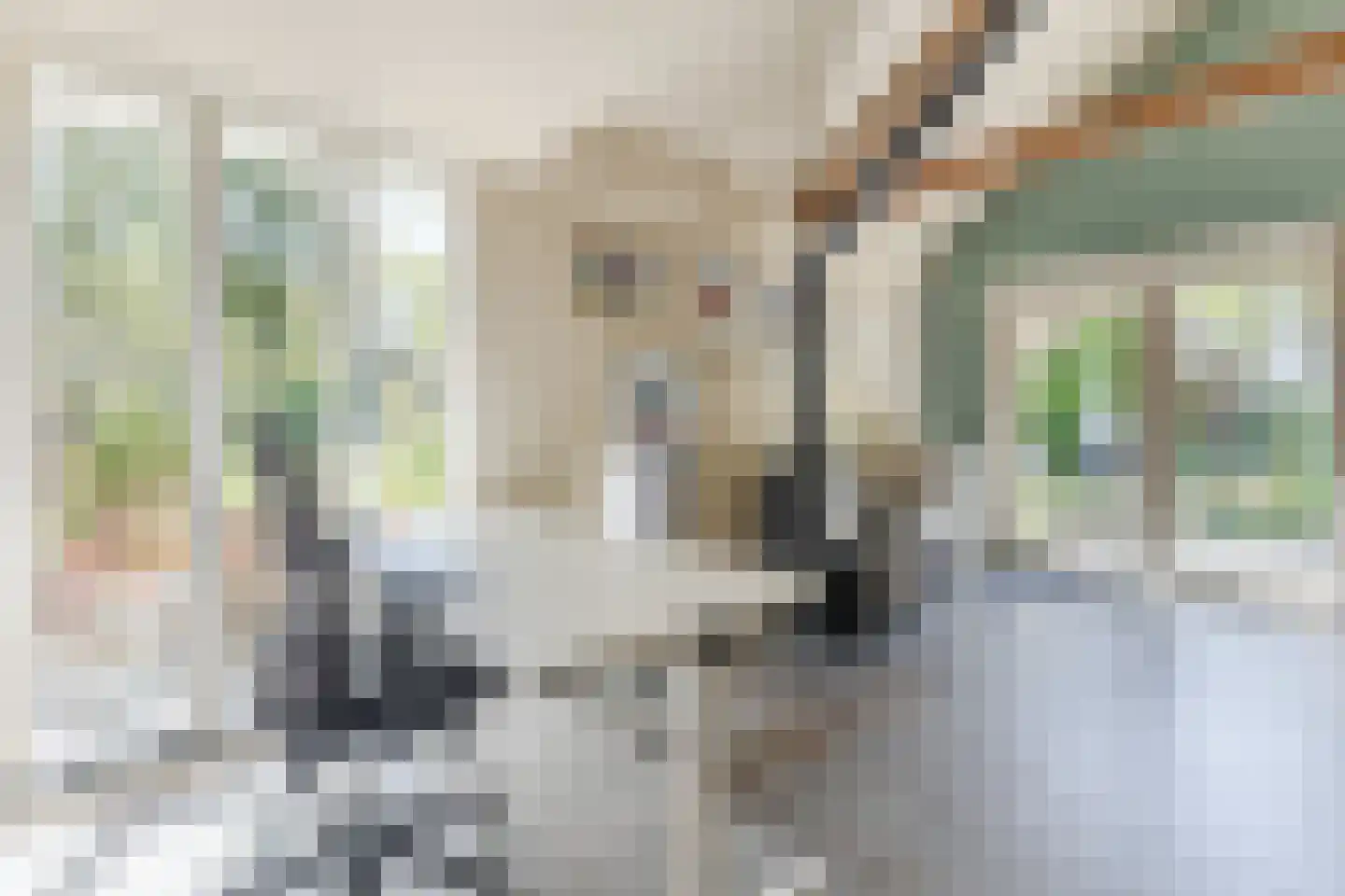 Lange Voort 269 Oegstgeest thumbnail 49
