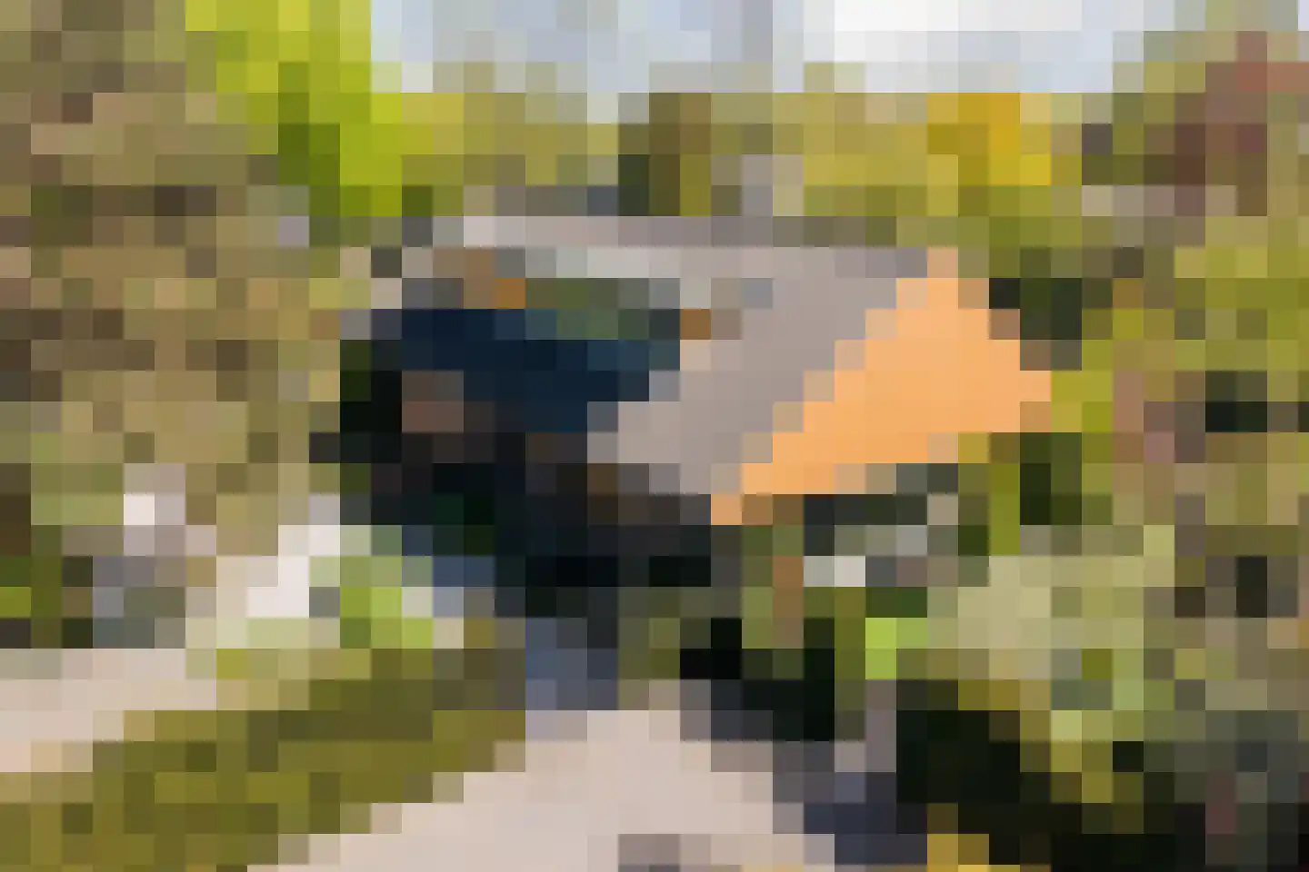 Lange Voort 269 Oegstgeest thumbnail 5