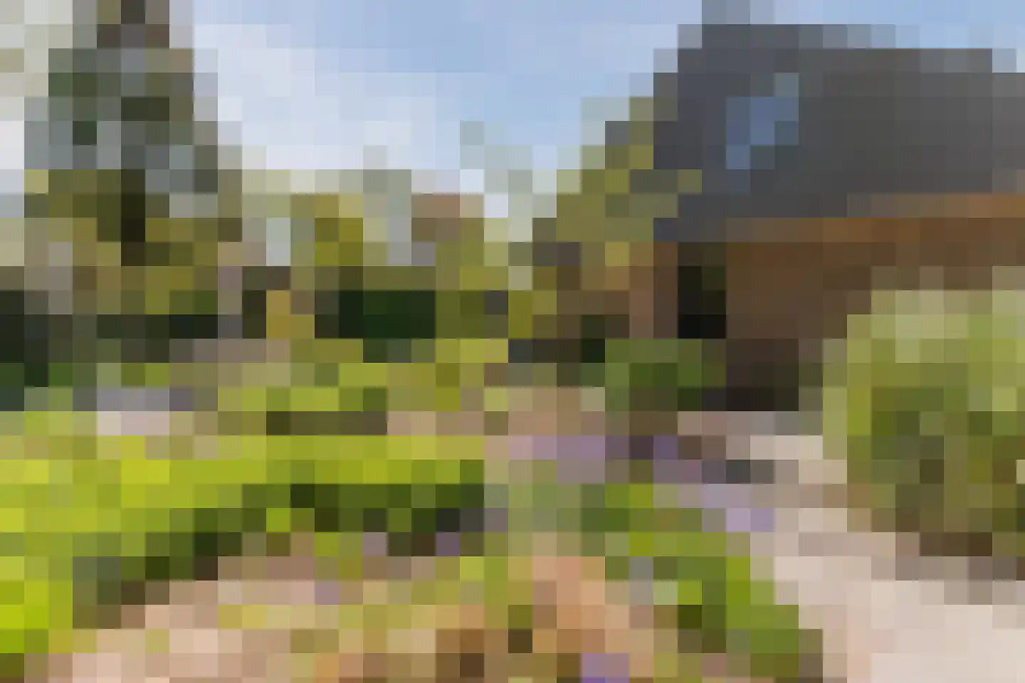 Lange Voort 269 Oegstgeest thumbnail 53