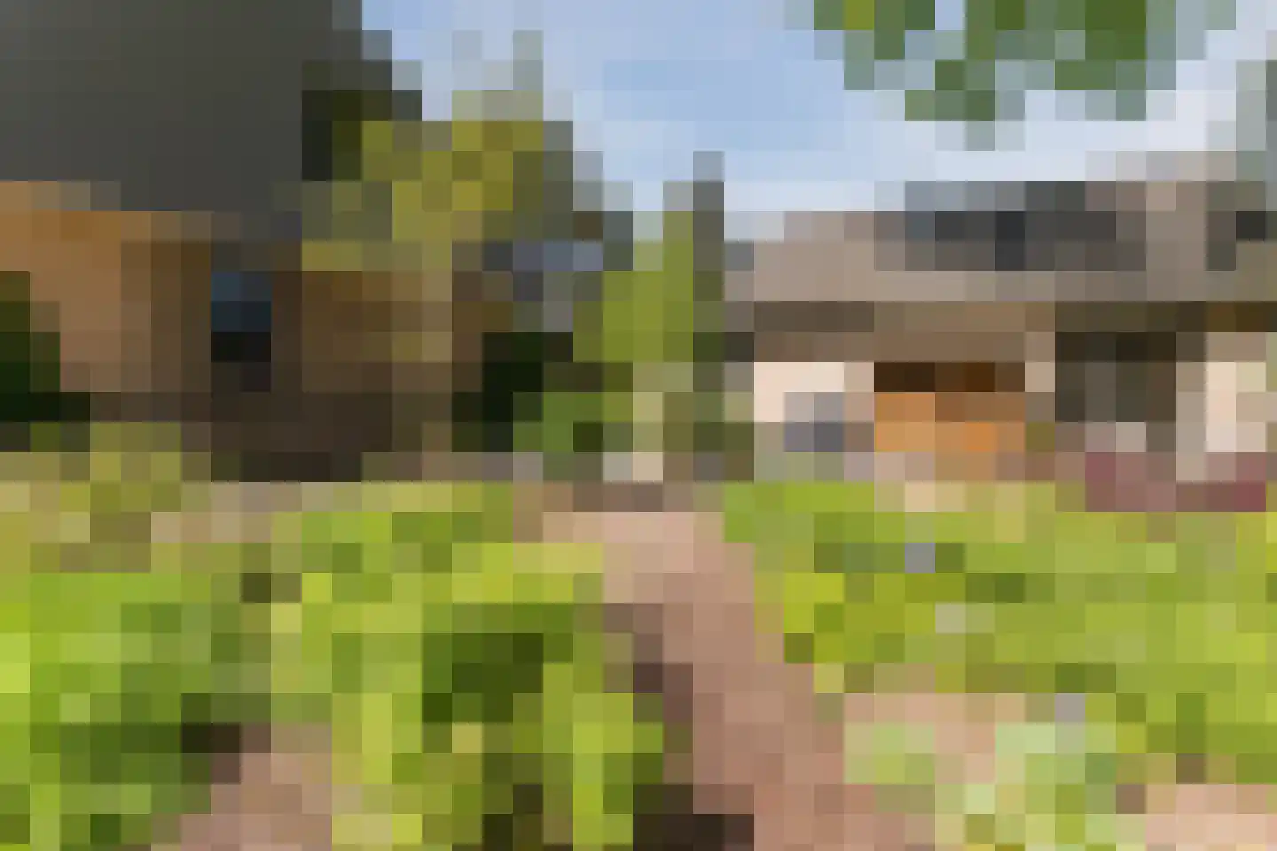 Lange Voort 269 Oegstgeest thumbnail 54