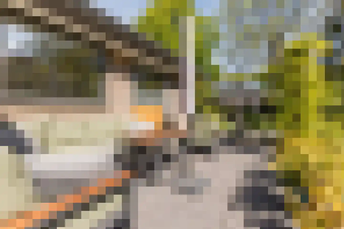 Lange Voort 269 Oegstgeest thumbnail 56