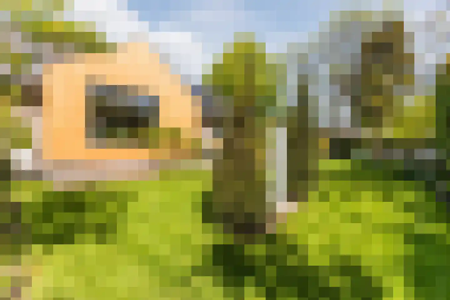 Lange Voort 269 Oegstgeest thumbnail 59