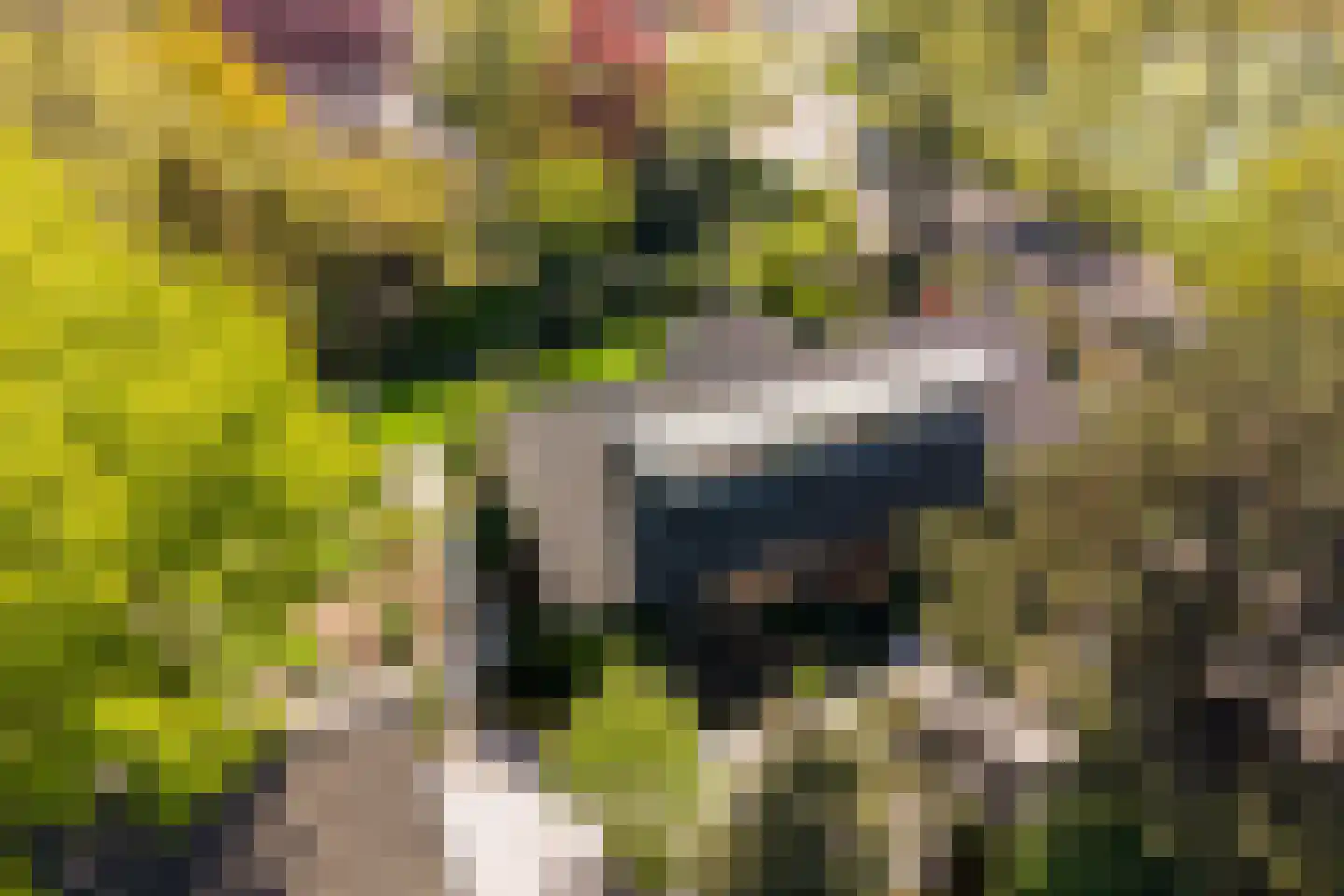 Lange Voort 269 Oegstgeest thumbnail 6