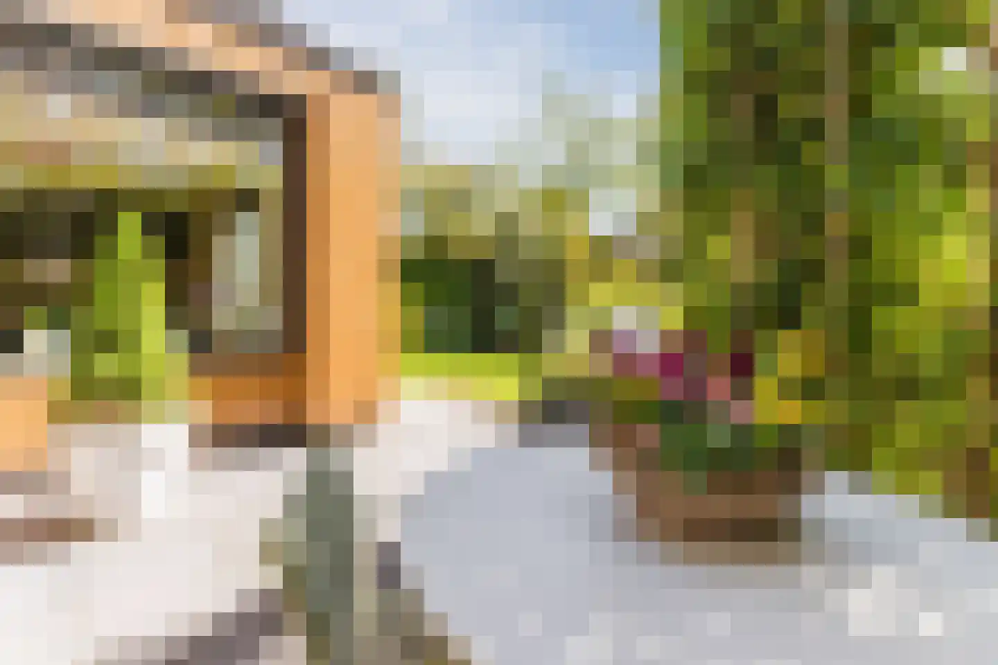 Lange Voort 269 Oegstgeest thumbnail 60