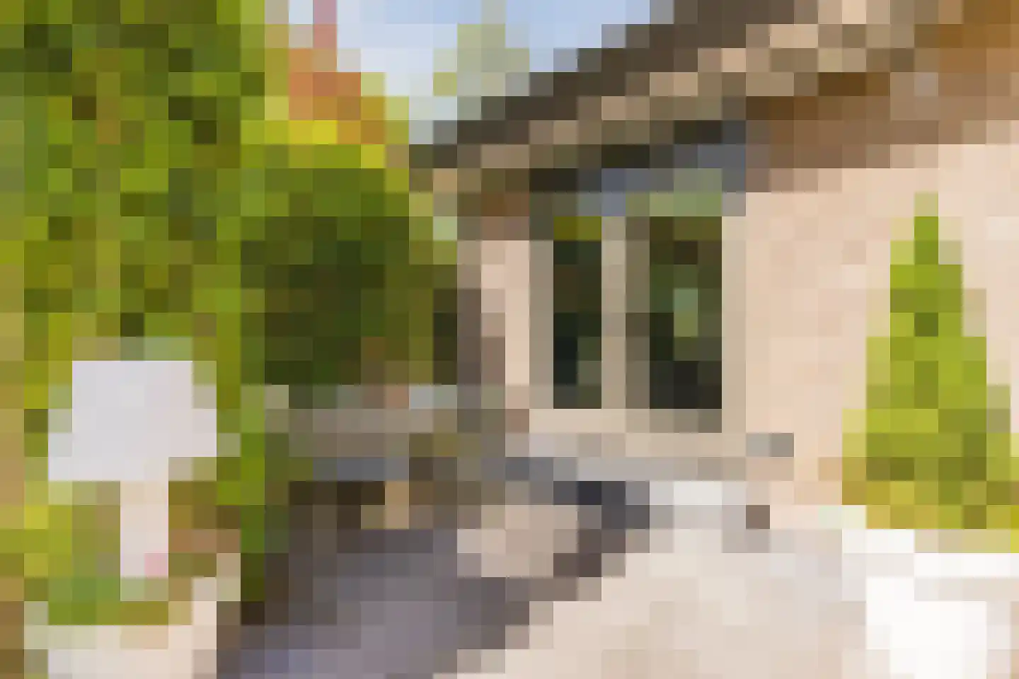 Lange Voort 269 Oegstgeest thumbnail 61