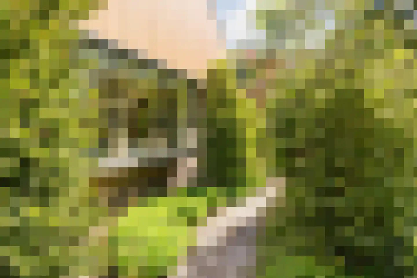 Lange Voort 269 Oegstgeest thumbnail 62