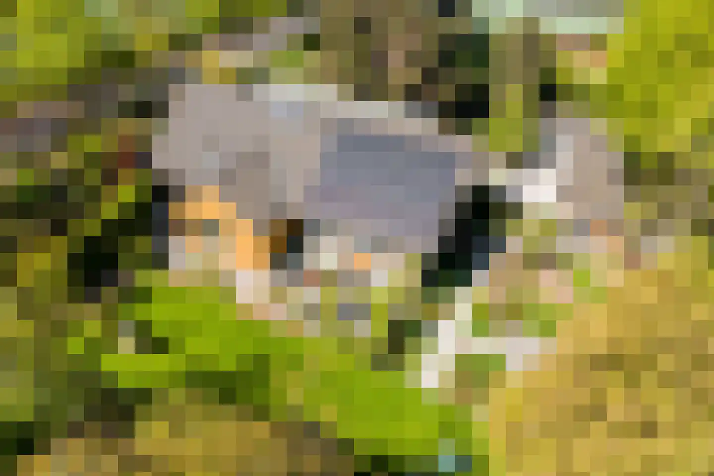 Lange Voort 269 Oegstgeest thumbnail 67
