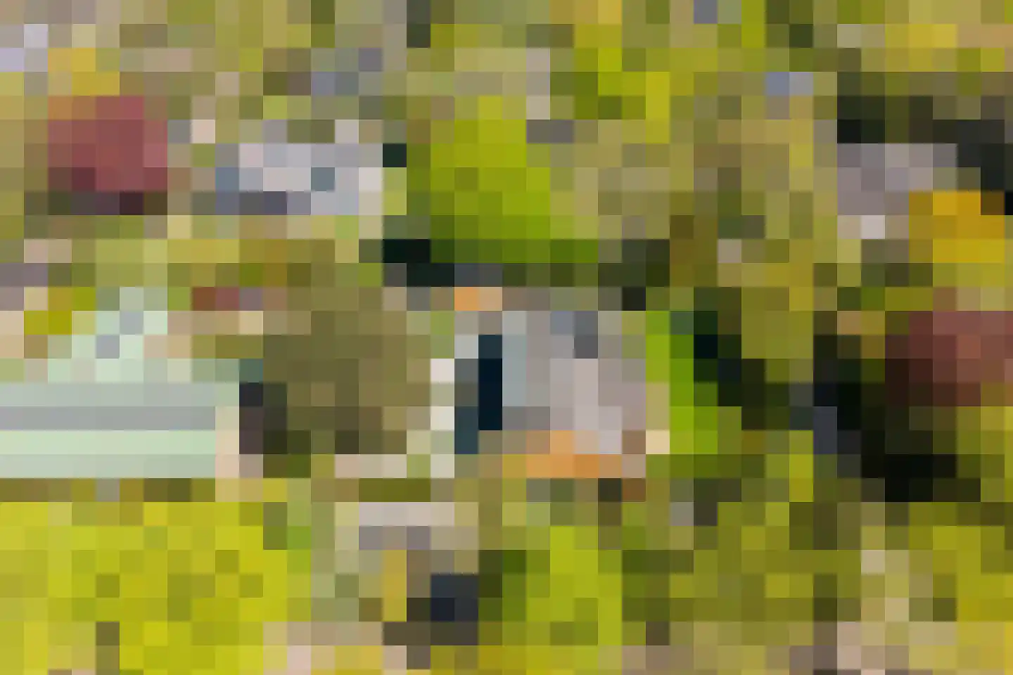 Lange Voort 269 Oegstgeest thumbnail 68