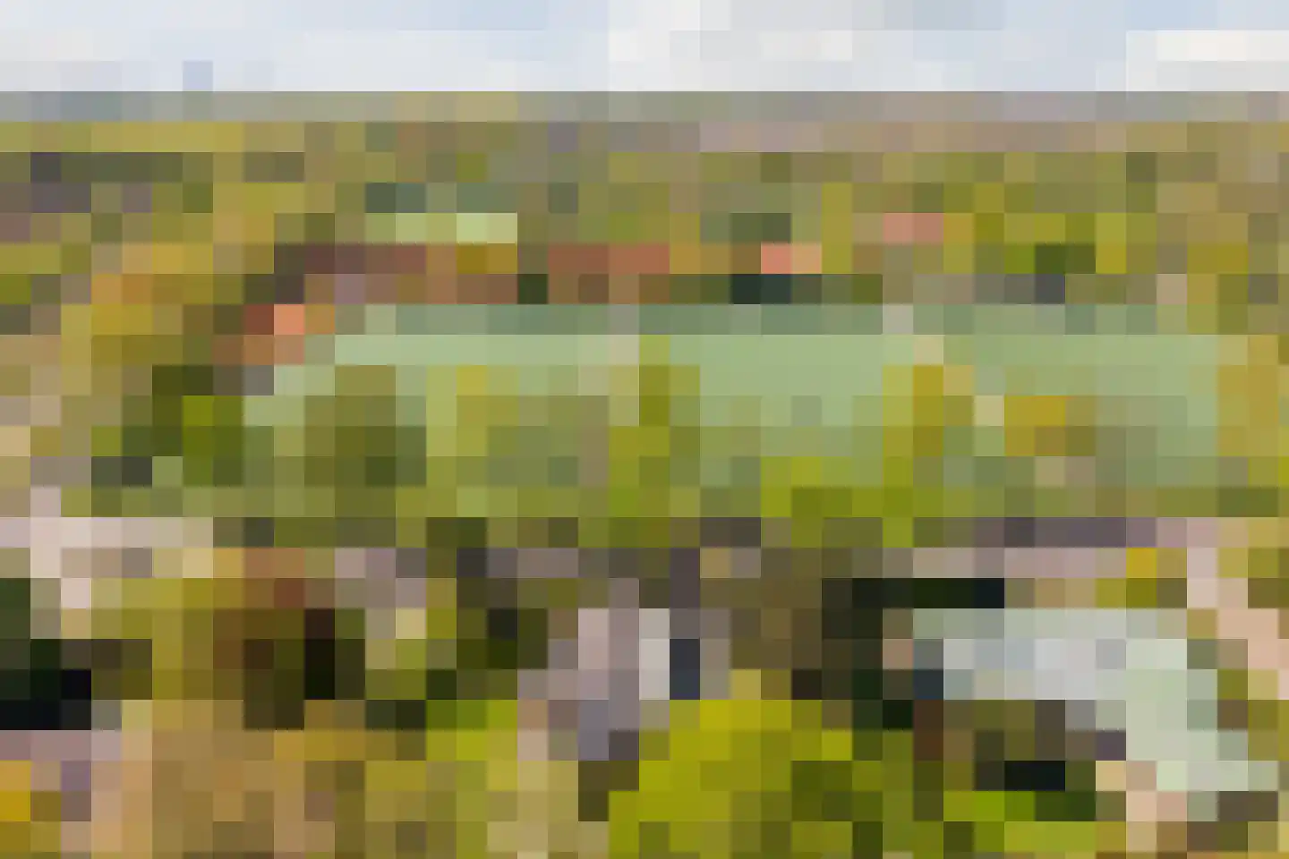 Lange Voort 269 Oegstgeest thumbnail 69