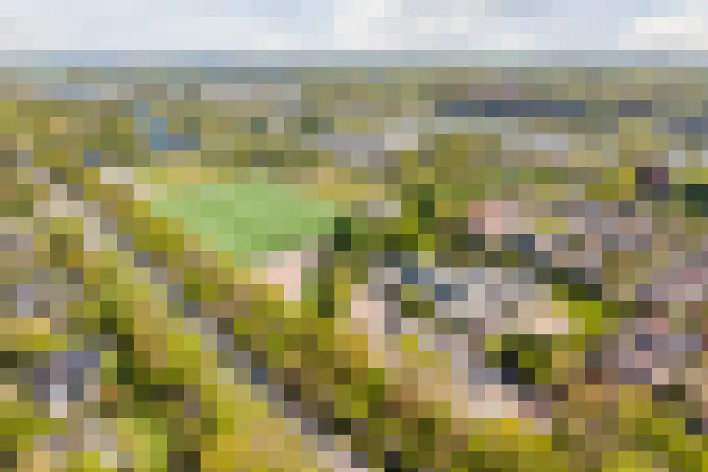 Lange Voort 269 Oegstgeest thumbnail 71