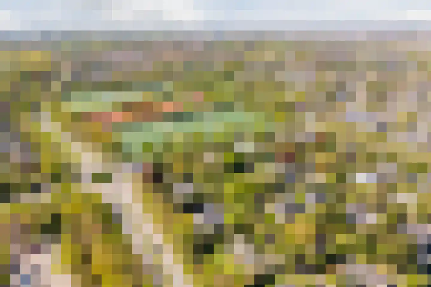 Lange Voort 269 Oegstgeest thumbnail 72