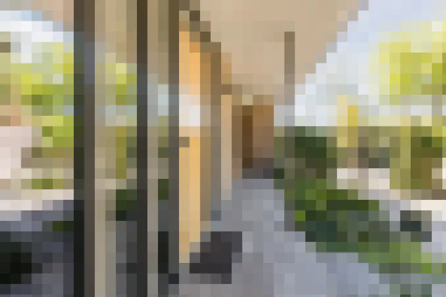 Lange Voort 269 Oegstgeest thumbnail 8