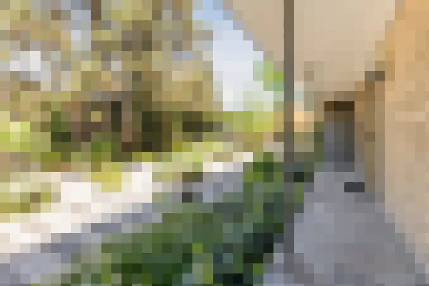 Lange Voort 269 Oegstgeest thumbnail 9