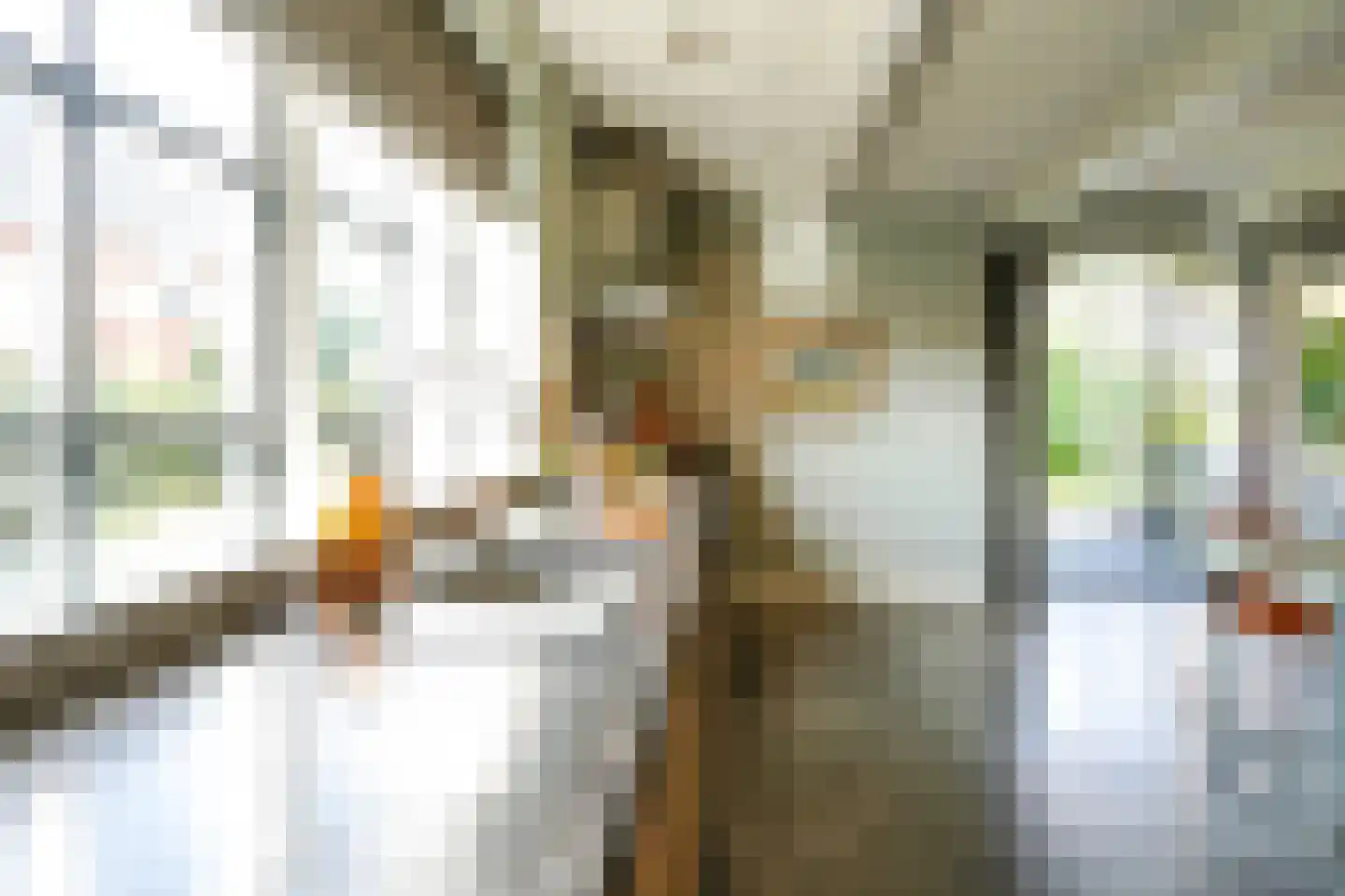Lange Voort 319 Oegstgeest thumbnail 15