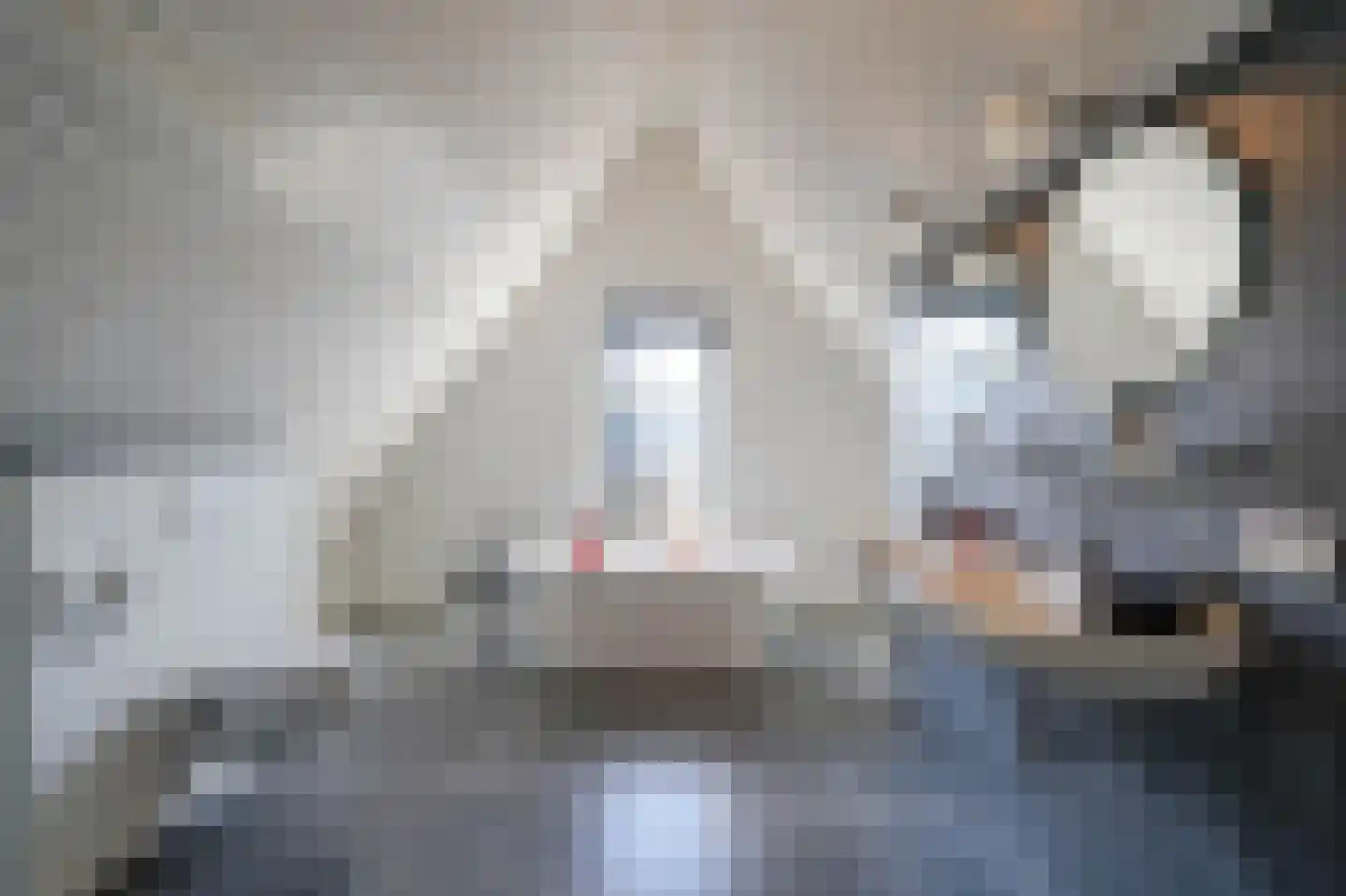 Lange Voort 319 Oegstgeest thumbnail 37