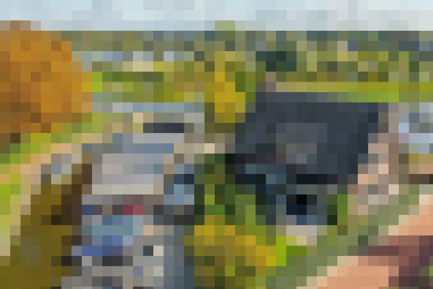 Lange Voort 319 Oegstgeest thumbnail 4