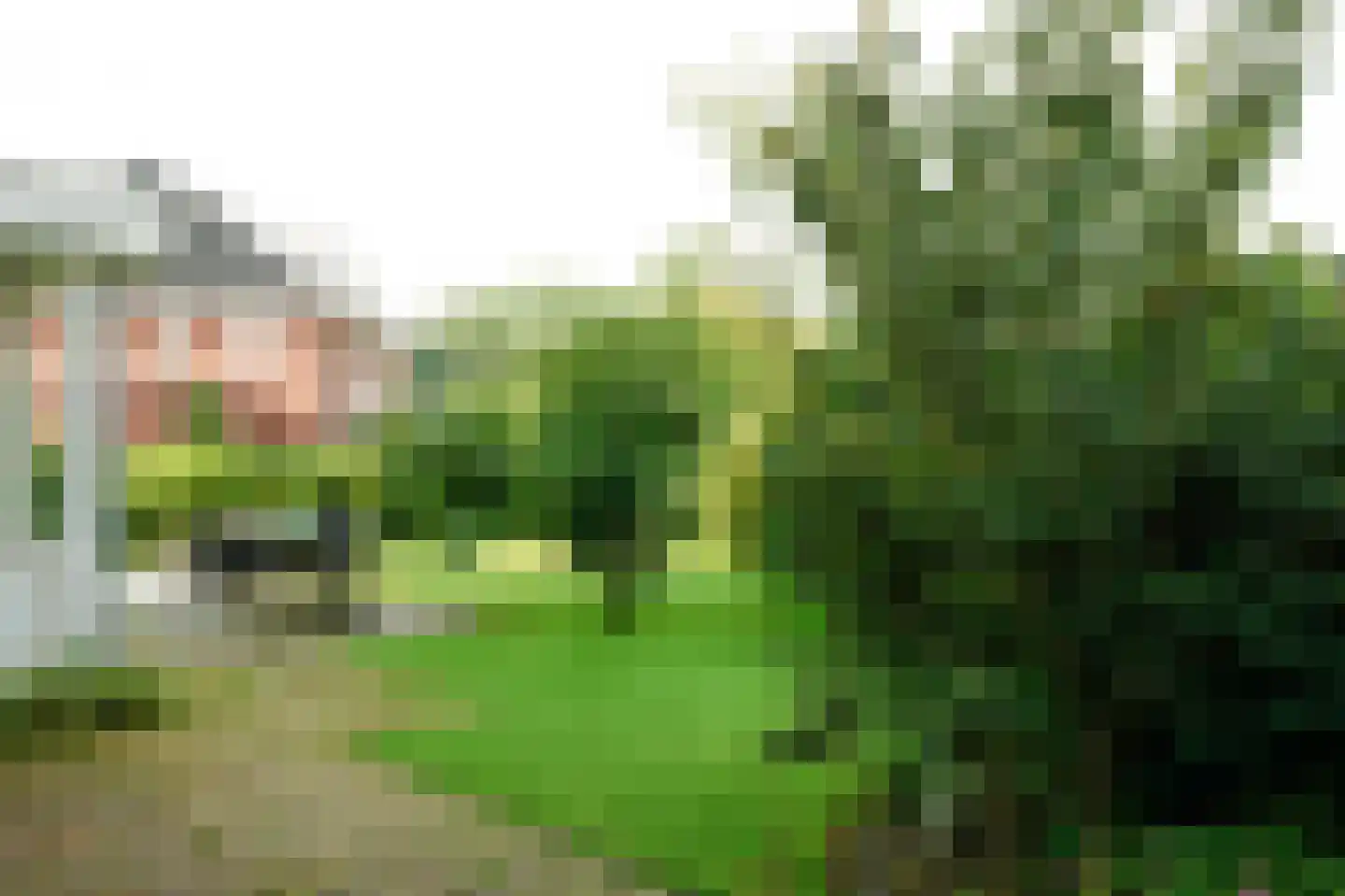 Lange Voort 319 Oegstgeest thumbnail 44