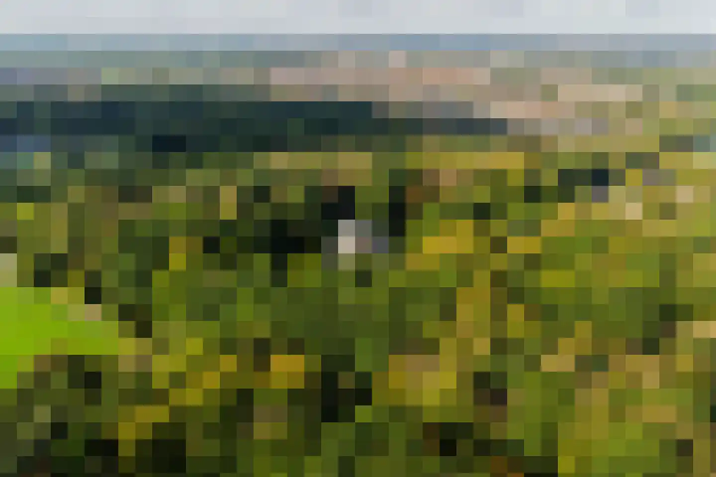 Lange Voort 319 Oegstgeest thumbnail 57