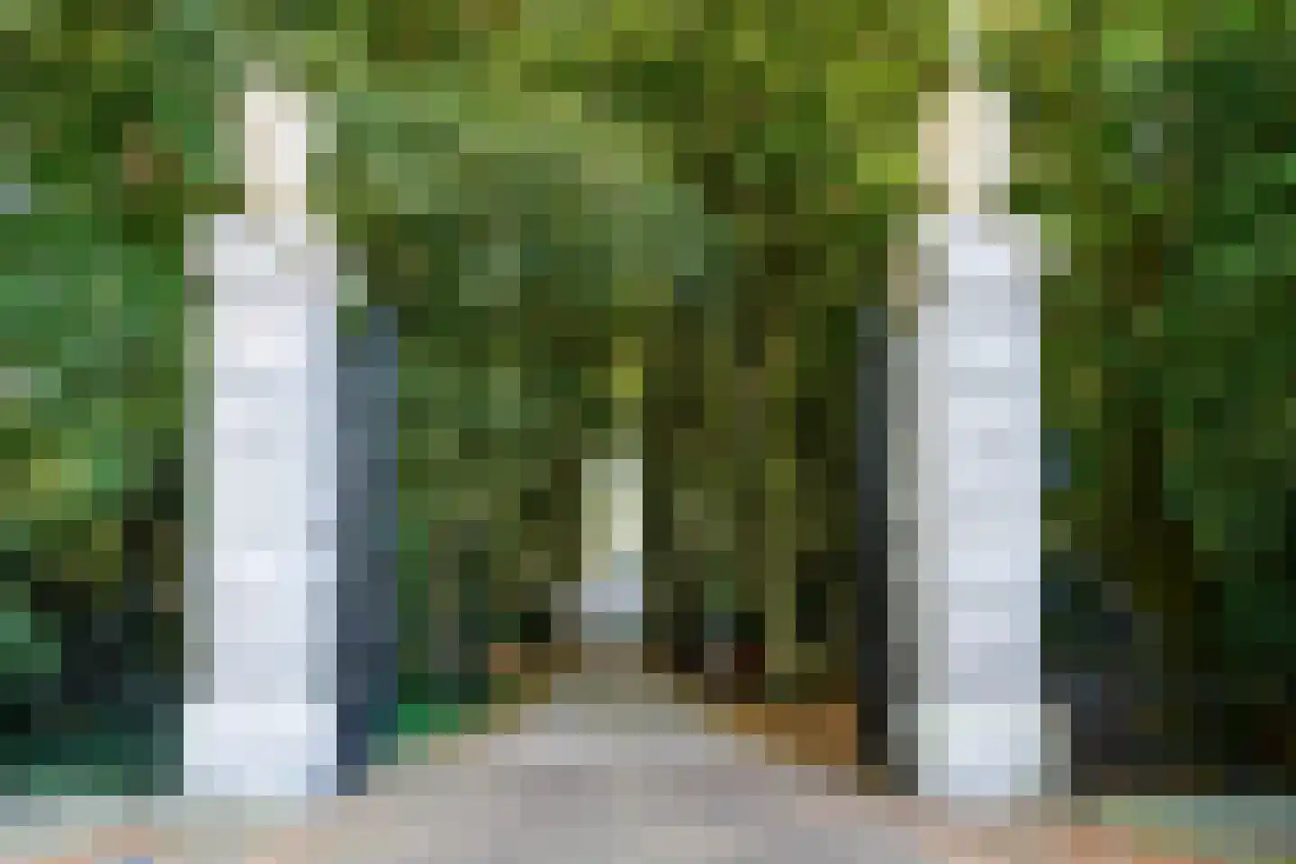 Lange Voort 319 Oegstgeest thumbnail 59