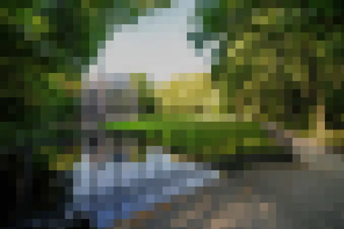 Lange Voort 319 Oegstgeest thumbnail 60