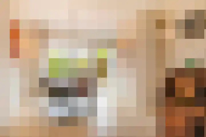 Lange Vore 2 Veenendaal thumbnail 10