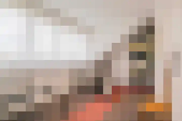 Lange Vore 2 Veenendaal thumbnail 28