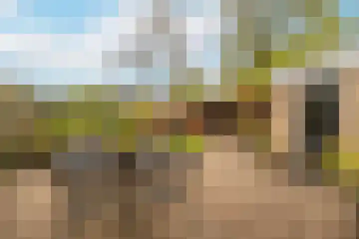 Lange Vore 2 Veenendaal thumbnail 29