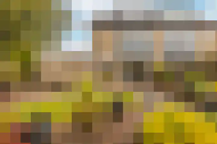 Lange Vore 2 Veenendaal foto 3