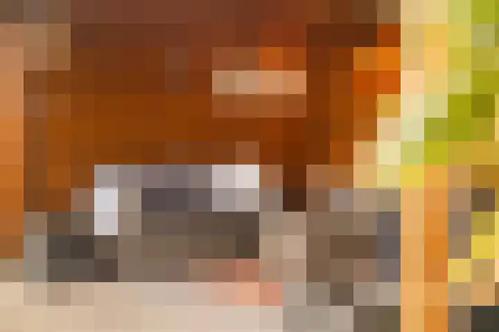 Lange Vore 2 Veenendaal thumbnail 30