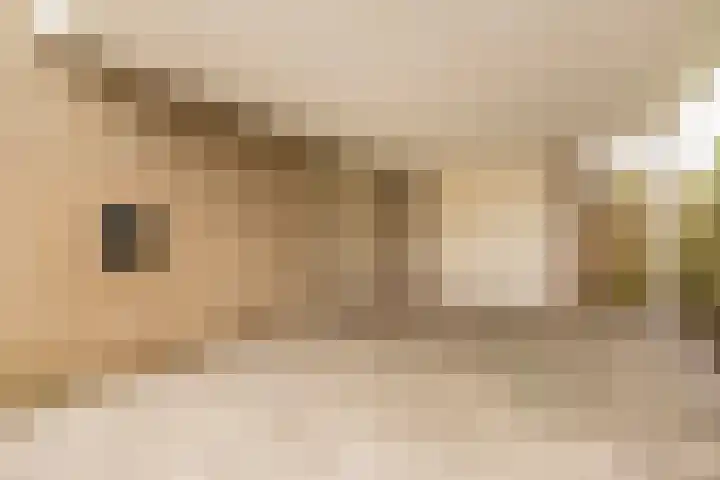 Lange Vore 2 Veenendaal thumbnail 36