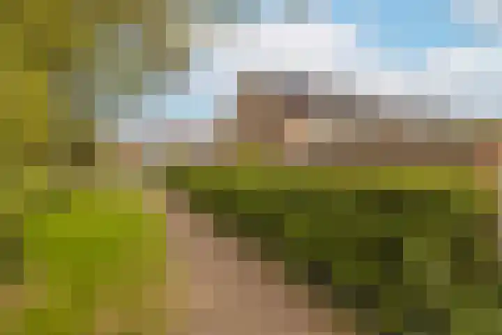 Lange Vore 2 Veenendaal thumbnail 39