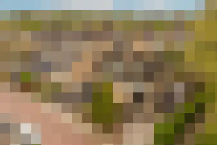 Lange Vore 2 Veenendaal thumbnail 4