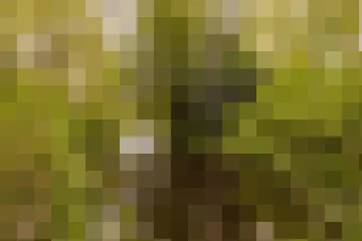 Lange Vore 2 Veenendaal thumbnail 40