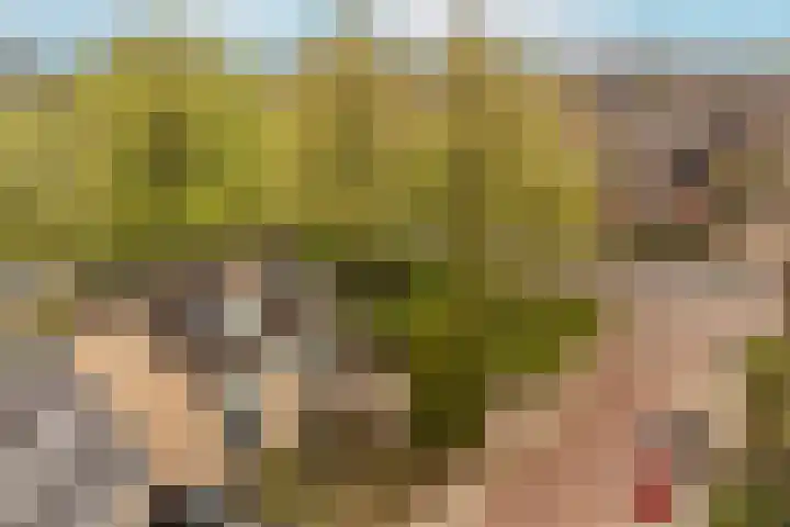 Lange Vore 2 Veenendaal thumbnail 42