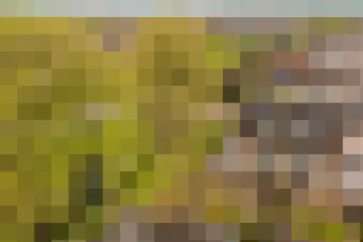 Lange Vore 2 Veenendaal thumbnail 43